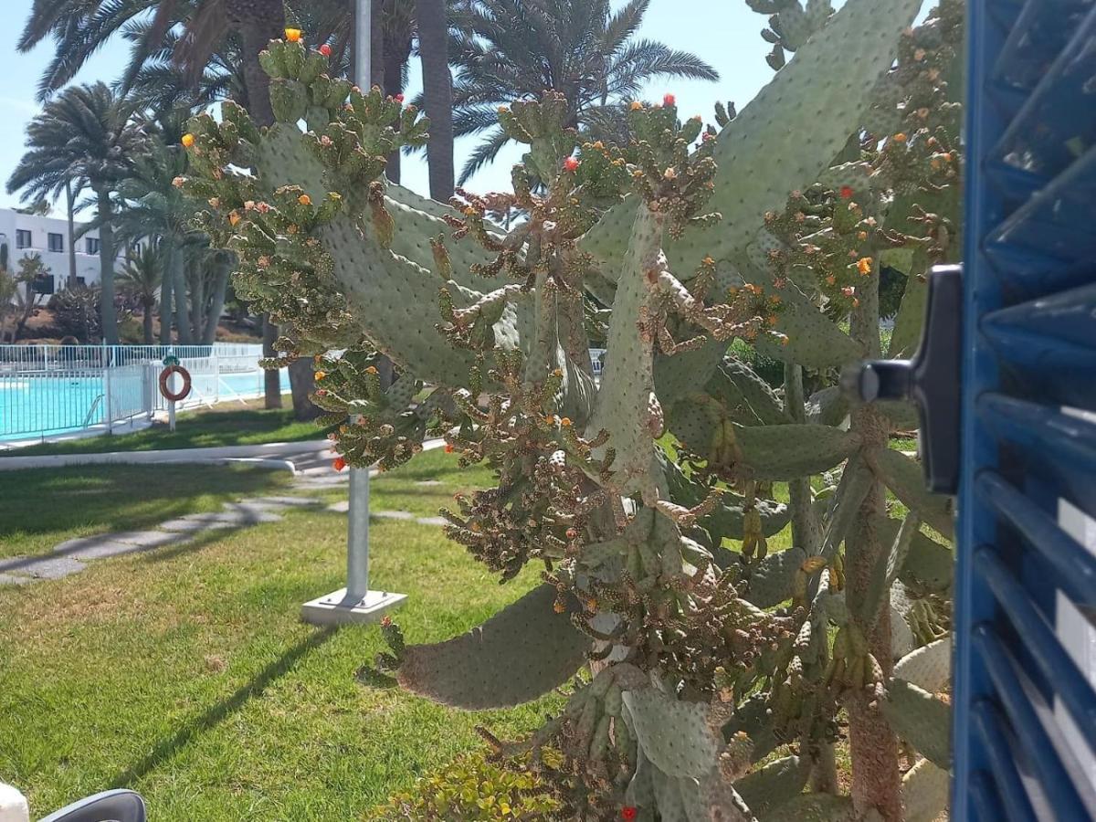 Los Barqueros 9 By Best Holidays Fuerteventura คอร์ราเลโฮ ภายนอก รูปภาพ